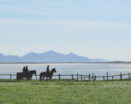Anglesey Riding Centre | Oyster Holiday Cottages