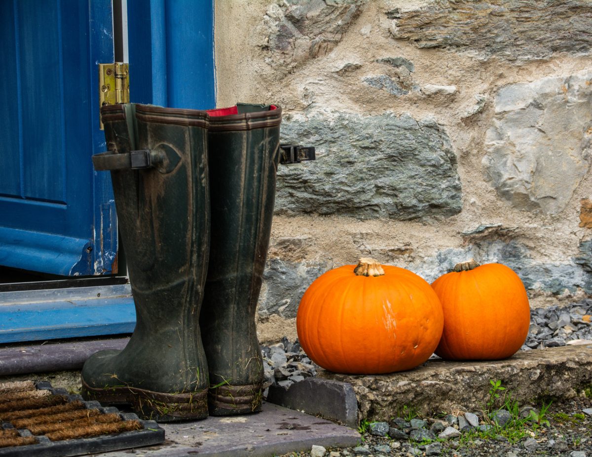 A picture of wellies and pumpkins beside a stone doorway in North Wales