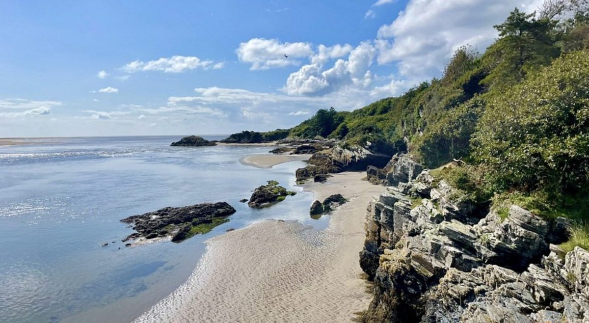 Borth y gest sea swimming spots