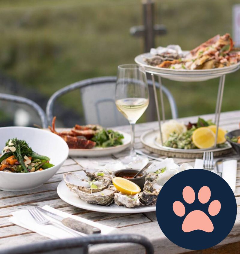 Plate of systers and white wine at the Oyster Catcher restaurant and dune bar in Rhosneigr, Anglesey