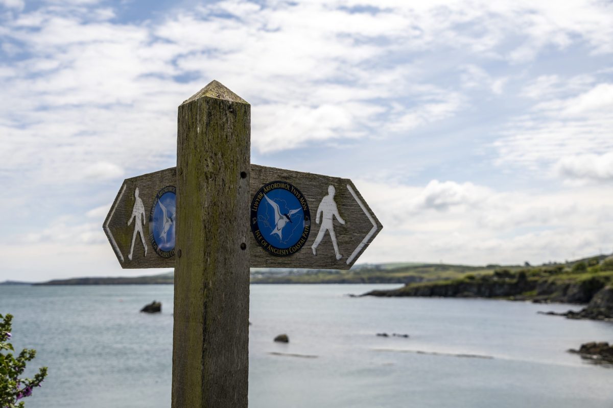 A close up image of a wooden coastal path sign 