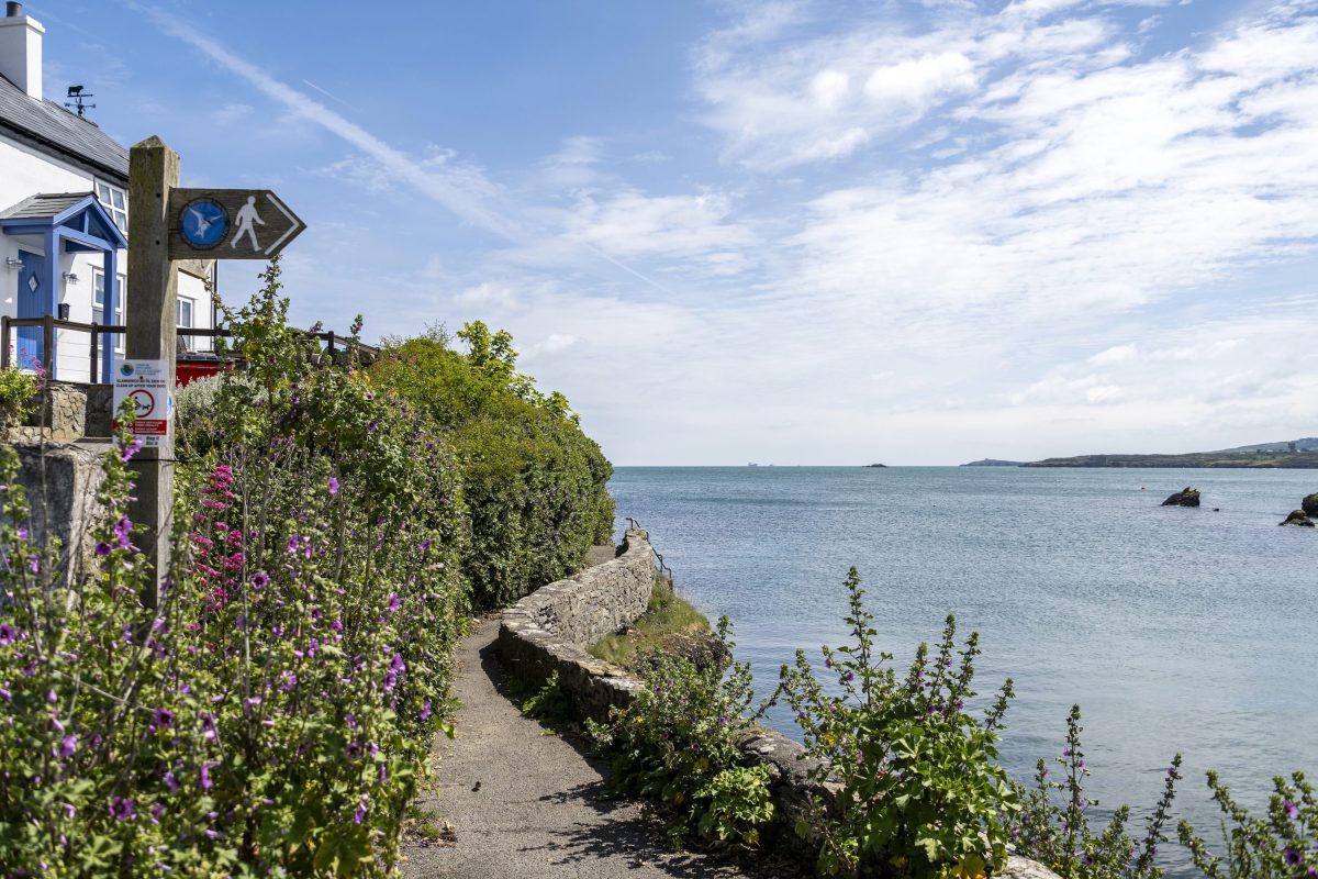 a pretty section of the Anglesey Coast Path with flowers and greenery 