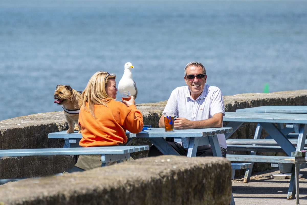 two diners sat outside a waterside pub on a picnic bench with a seagull in the background