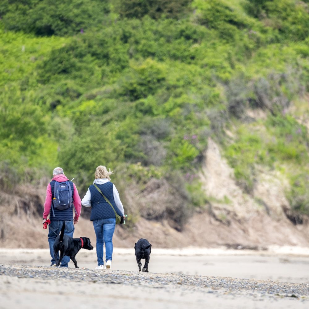 A couple walking their dogs along Lligwy beach Anglesey, a dog friendly beach