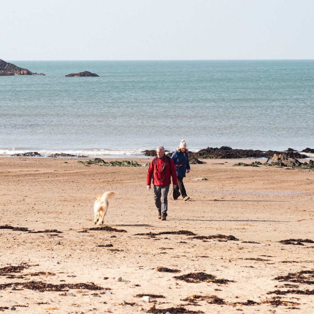 Couple walking a dog on the dog friendly beach, Red Wharf Bay, Anglesey