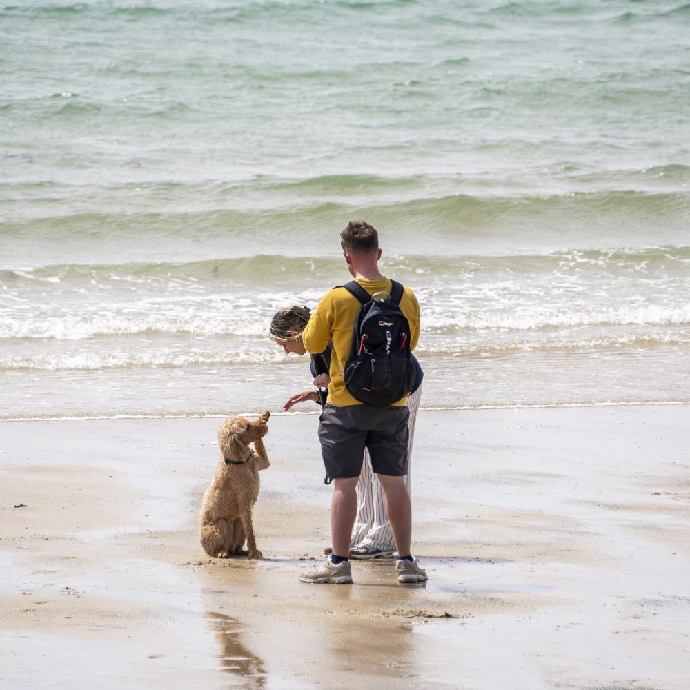 A couple playing with their dog on the sands of Cable Bay (Porth Trecastell), Rhosneigr, a dog friendly beach