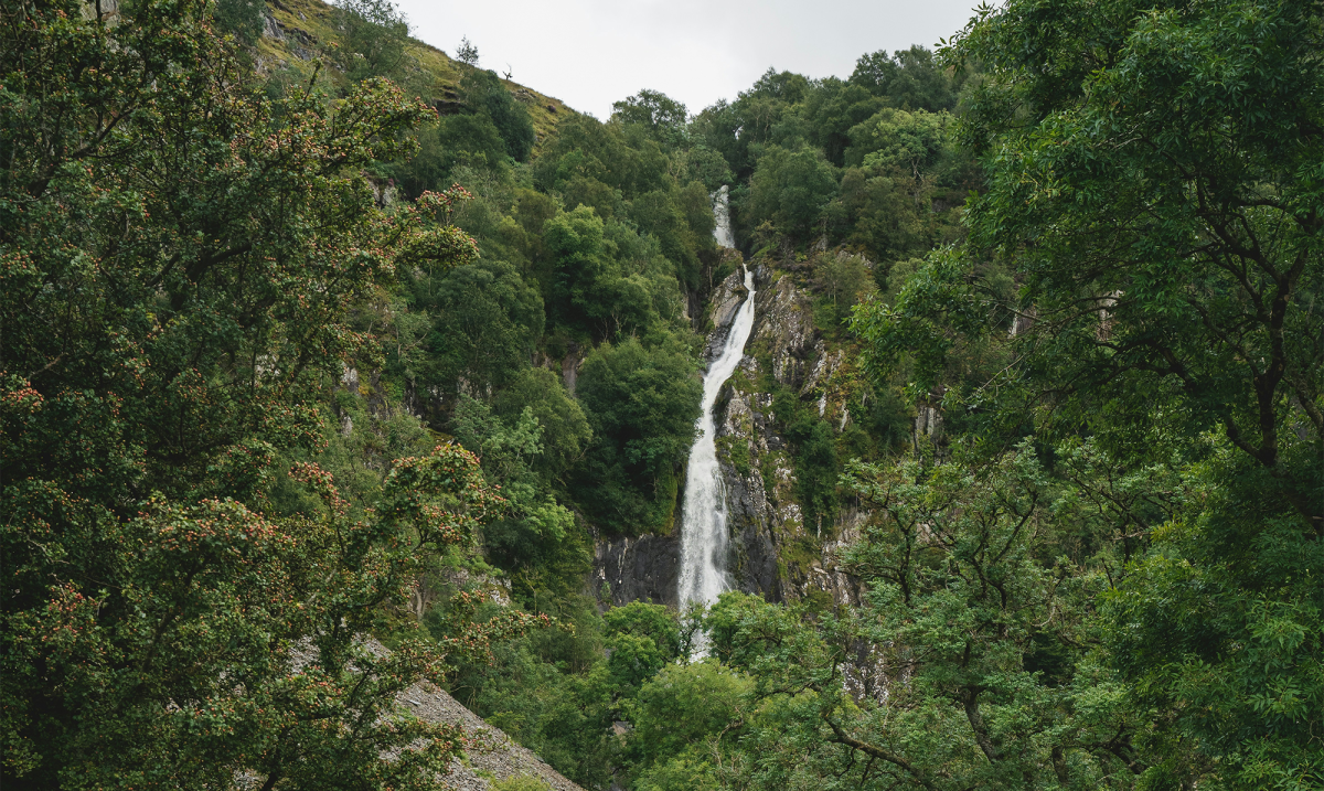 a moody shot of aber falls waterfall in North Wales through dense green trees