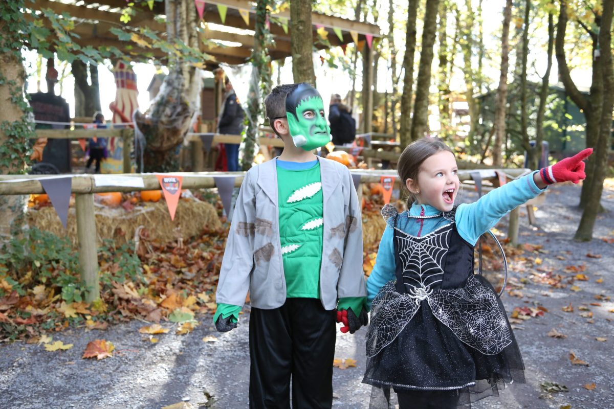 Two children in Halloween fancy dress at GreenWood Family Adventure Park in North Wales
