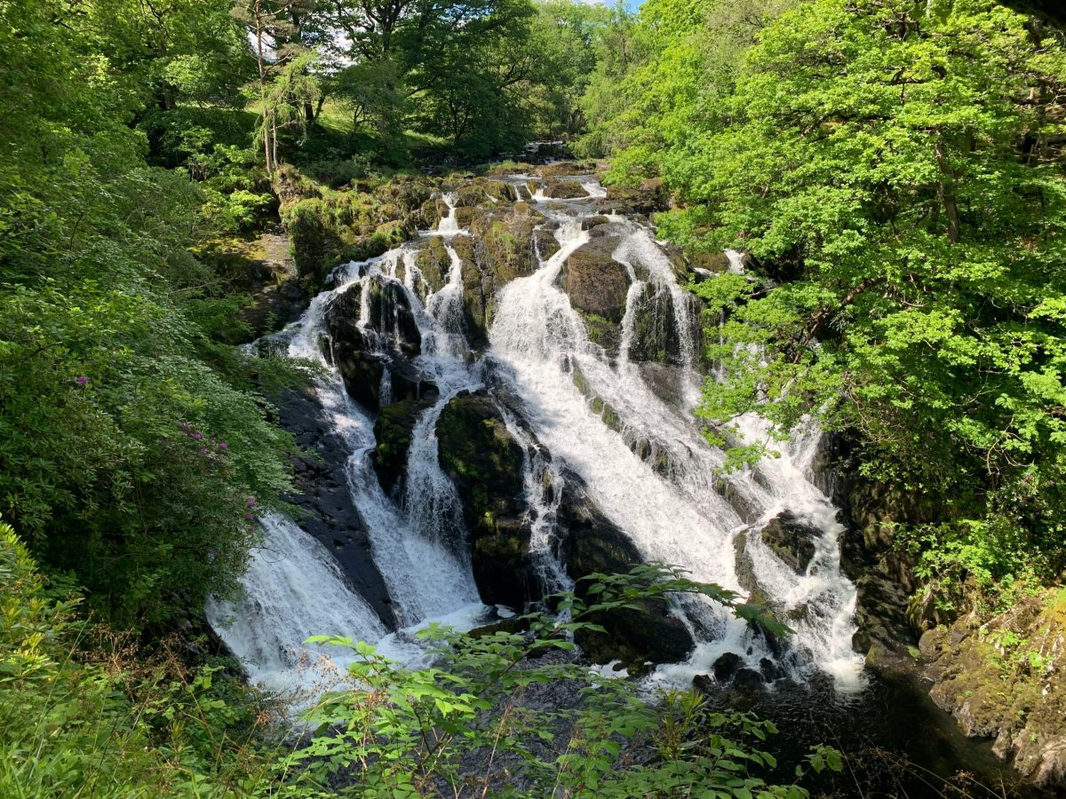 A lush image of North Wales' swallow falls through the trees.